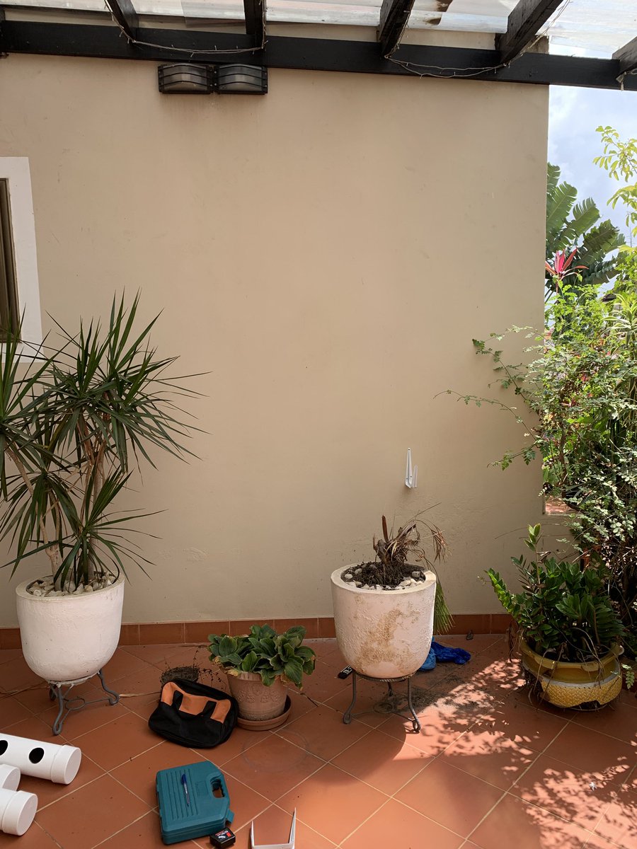 tropicalgrowers's tweet photo. This one was supposed to be pretty simple and a short day. But ended up being a long one. Really lovely client though. It was a real pleasure working with them 🙂🙂
#hydroponics #hydroponicfarming #hydroponicsystems #agriculture #agribusiness #farming #urbangardening #gardening https://t.co/q5zyzM2iUA