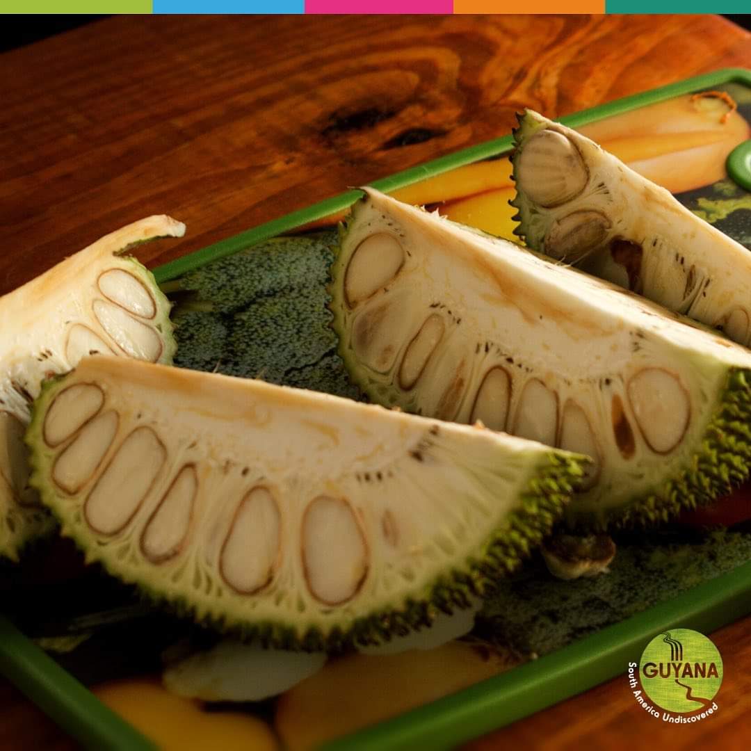 Discover Guyana Sur Twitter Katahar Is This A Fruit Nut Or Vegetable It S Debated By Many But This Is Actually A Fruit It Is One Of The Main Curries Found In Discover Guyana Sur Twitter Katahar Is This A Fruit Nut Or Vegetable It S Debated By Many But This Is Actually A Fruit It Is One Of The Main Curries Found In