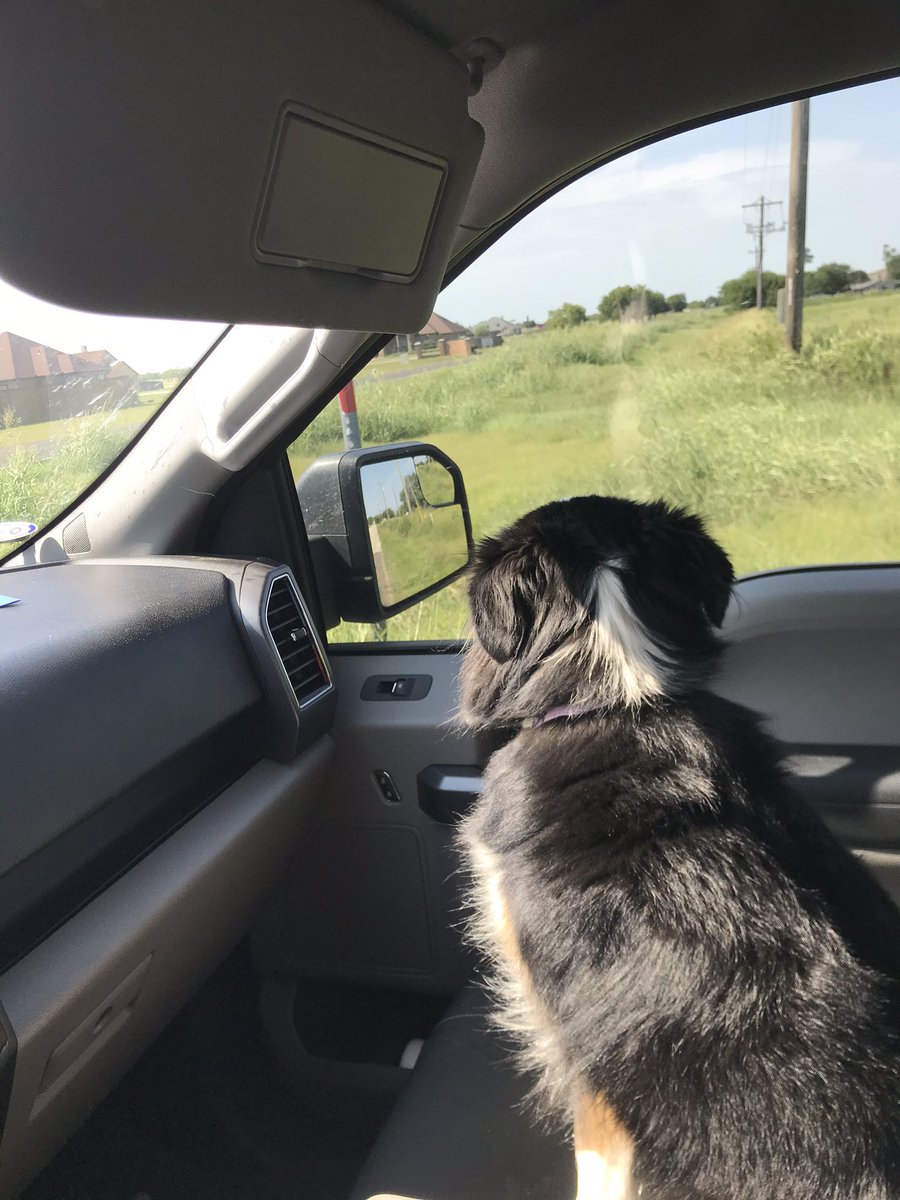 ChaseDuncan44's tweet photo. She thought the view was pretty, I thought she was the view https://t.co/FBvZNuAeWx