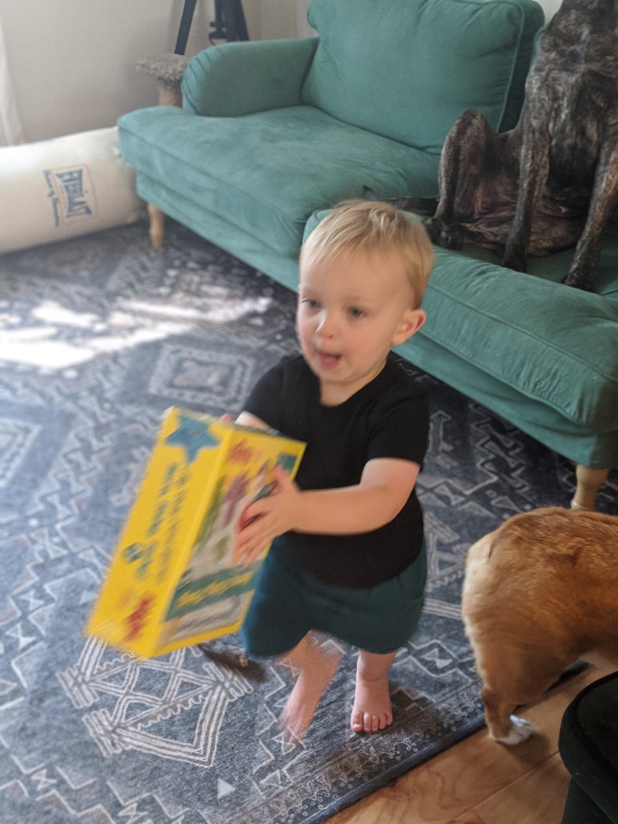 The nugget got his first ever board game today. You can tell his excitement level by how blurry he is in my picture
#tabletopgame #boardgames #teachthemright