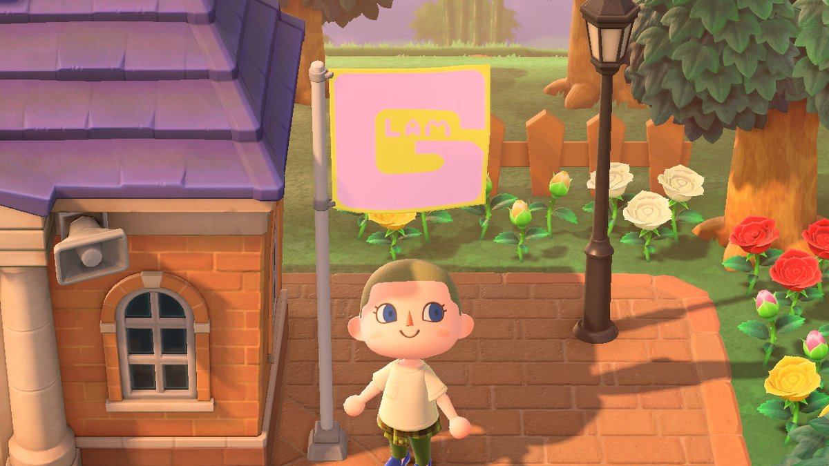 #AnimalCrossing #ACNH #NintendoSwitch