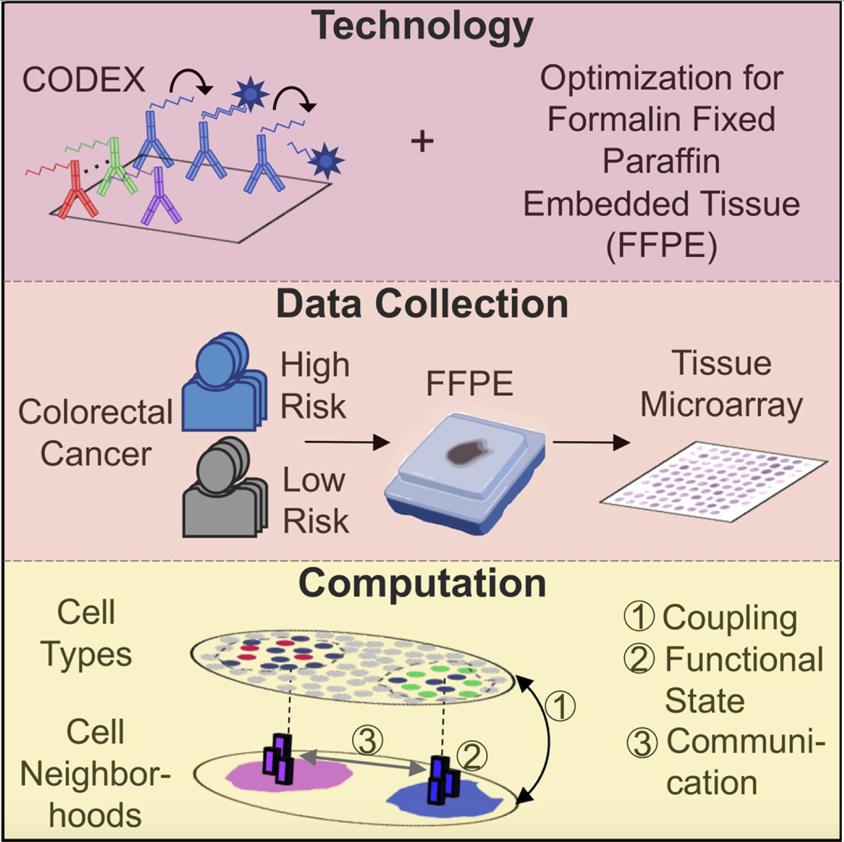 mmw_lmw's tweet photo. Multiplexed #Tissue_Imaging | Coordinated Cellular Neighborhoods Orchestrate #Antitumoral_Immunity at the #Colorectal_Cancer Invasive Front | Garry Nolan @StanfordMed @CellCellPress https://t.co/0Fs1W0BgjG https://t.co/7XDwPDy6sS