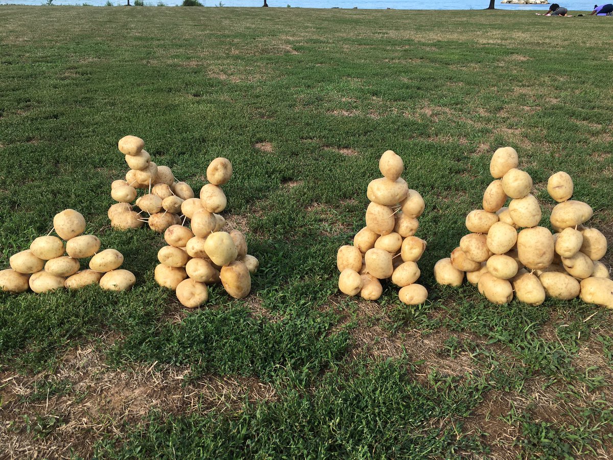 SparkNTheNight's tweet photo. Am I GISHing right? #TaterTemple #PotatoBalancing #GISH https://t.co/lvkI9Xk7Oo