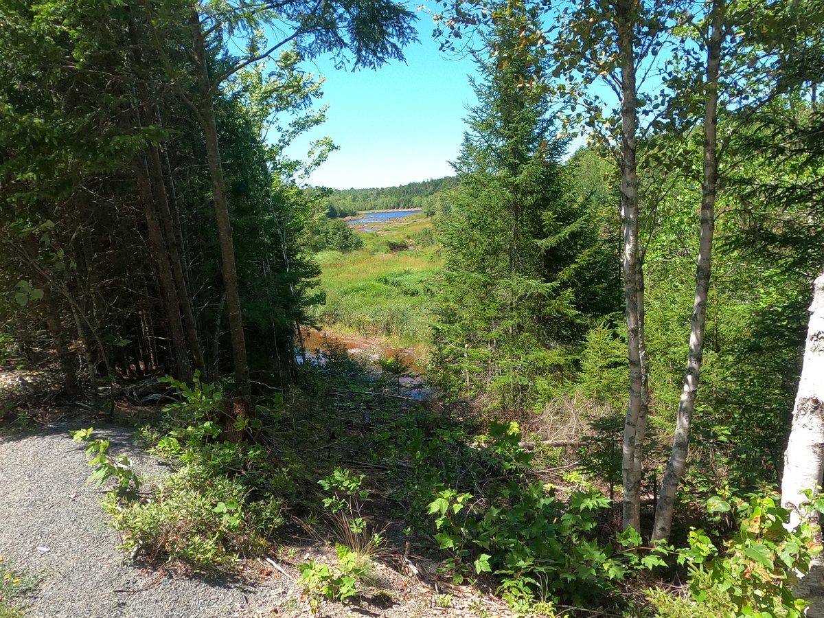 Broken_MacAtom's tweet photo. Biking with my Dad in Truro #RailYard https://t.co/NwB7iBRDAQ