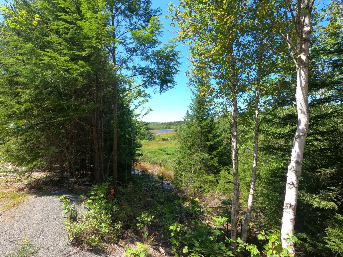 Broken_MacAtom's tweet photo. Biking with my Dad in Truro #RailYard https://t.co/NwB7iBRDAQ