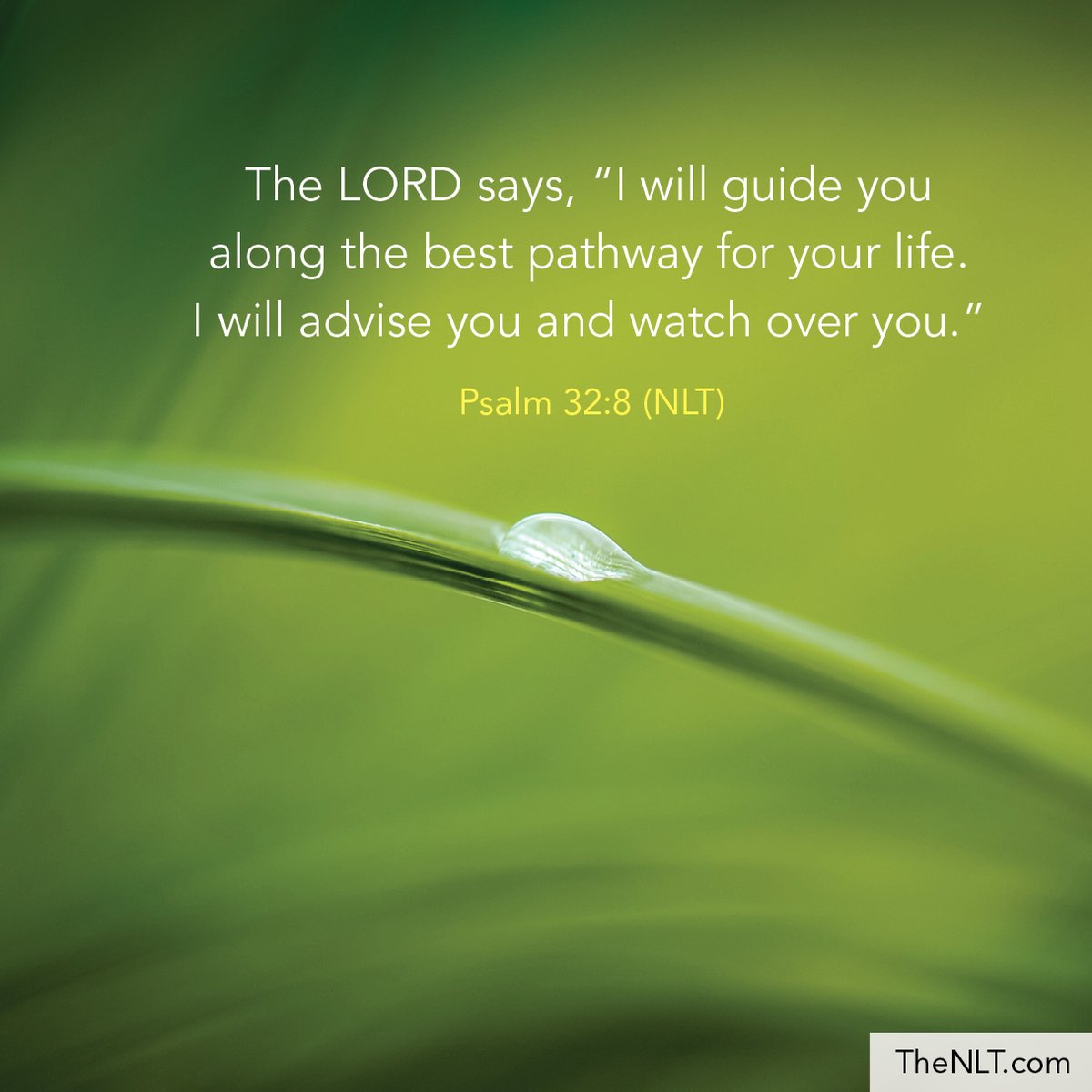 NLTverse's tweet photo. "The Lord says, 'I will guide you along the best pathway for your life. I will advise you and watch over you.'" Psalm 32:8, NLT
#ReadTheNLT #TheLordWillGuide #WatchOver #Advise #NewLivingTranslation #NLTBible https://t.co/w6iOzi3e37