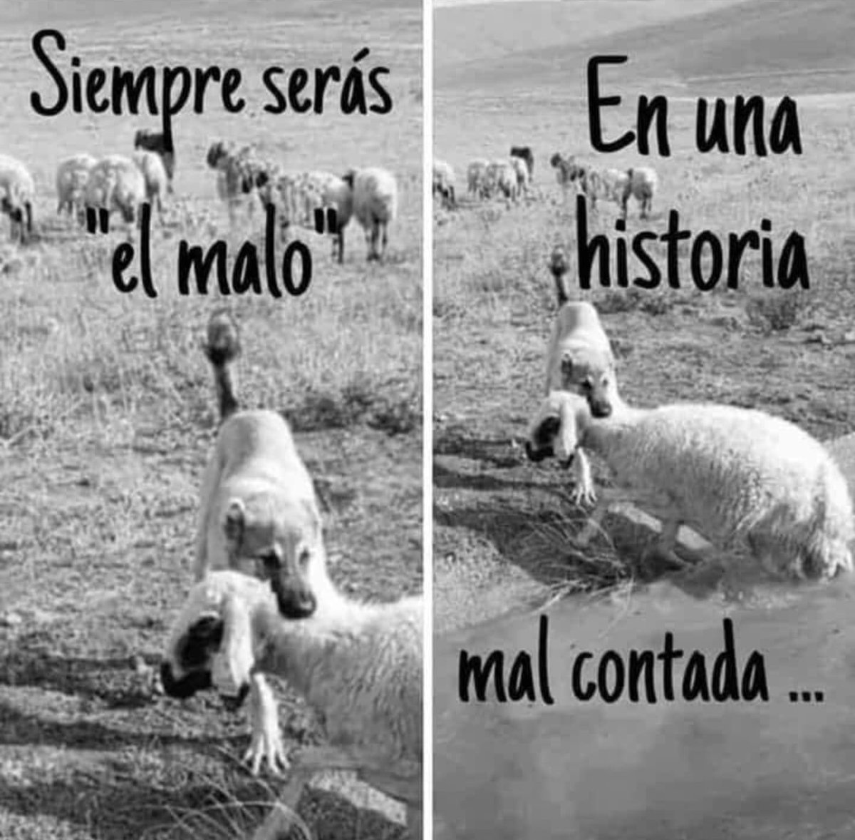 ArechagaMencia's tweet photo. https://t.co/FOKlwCH9e3