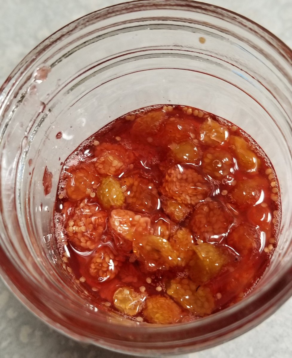 revealplant's tweet photo. Final product: stewed groundcherries (with ginger and cinnamon + dash of rum).
@joy_van500
@PhysalisProject https://t.co/IZXtGOwzOq