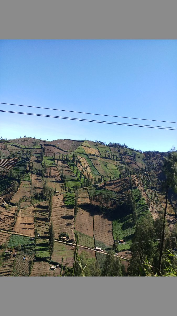 OPEN PROMOT 
#PesonaNegeriku 
Kami Generasi
 #MutualMilenial 
Memahami 
#IngatSejarah 
Itu merupakan 
#BudayaNegeriku 

👉<a href="/Ahmadnu86839006/">Ahmad nurcholis</a>
Cc 
<a href="/TheArieAir/">Arie Dirgantara</a> 
@tjhinfar21 
<a href="/wiwikherma/">Wiwik Hermawati</a> 
<a href="/LILApama2011/">E L I S Y A</a> 
<a href="/jitoe02/">Jitu ⚓ หนึ่ง</a> 
<a href="/Windawati_02/">N D A</a> 
RT ❤ Rep 
Bersama Kita Isi kemerdekaan 
#programfolback