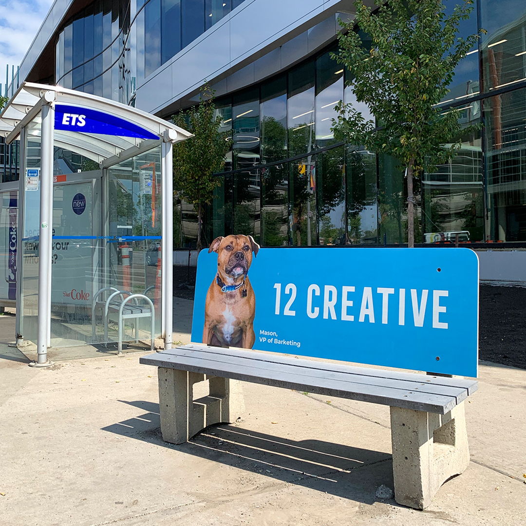12creativeco's tweet photo. You can now take a seat or picture with our new VP of Barketing, Mason, who can now be spotted on bus benches around town! Tag us in your bus bench pics, we would love to see all the new friends Mason makes. 🐶 https://t.co/qSPHqyrIwG