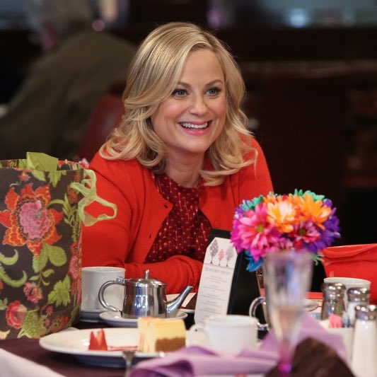 leslie knope: heart