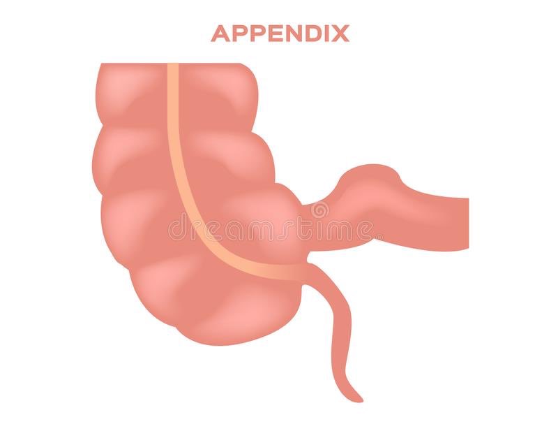 jerry gergich: appendix