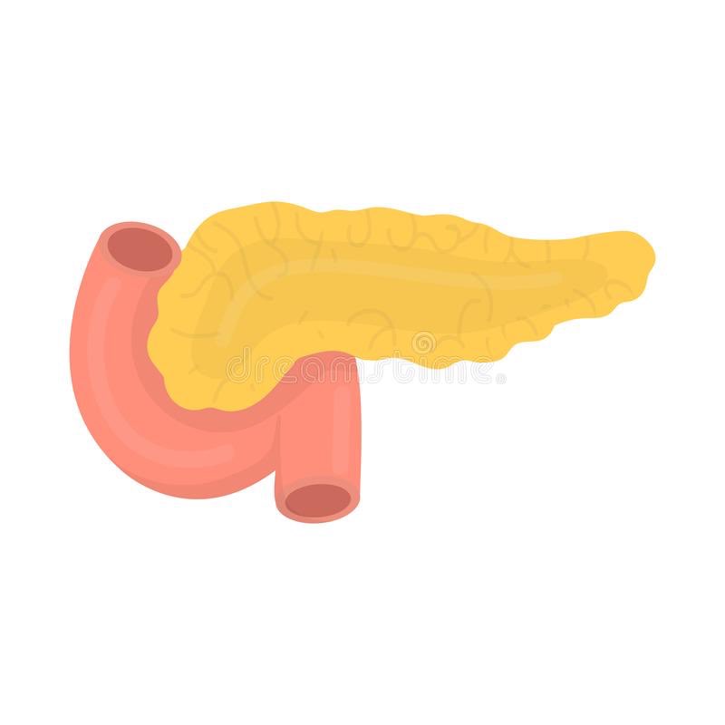 tom haverford: pancreas