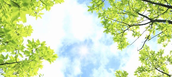 コロナという出来事は感染よりも自律神経の乱れの方が圧倒的に多いと思うし、気を付けないと‼️と思う‼️

世の中の閉塞感、緊張感、圧迫感
生活の変化、ストレス発散が上手くできない環境

今までよりも2.3倍ストレスケアしないとって思うよ☺️
手軽で大事なのは
睡眠・深呼吸・意図的なリラックス時間✨