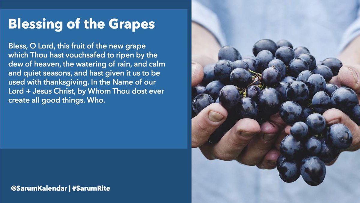 SarumKalendar's tweet photo. Aug. 6: The Blessing of the Grapes. #SarumRite #Anglican #Catholic #AnglicanTwitter #CatholicTwitter #SarumUse https://t.co/ifdjkxuORr