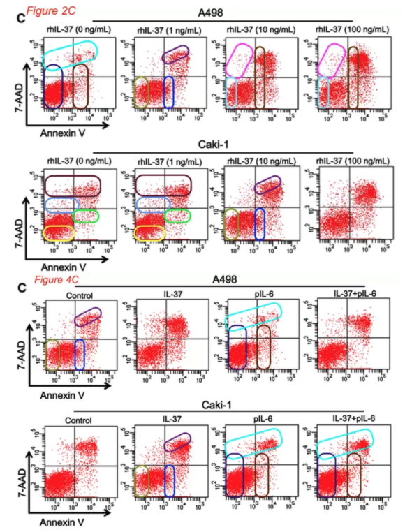 MicrobiomDigest's tweet image. Author writes back: "Oh yes, we noticed this too. It's a mistake. We will ask for a correction". 
#ImageForensics #FlawCytometry