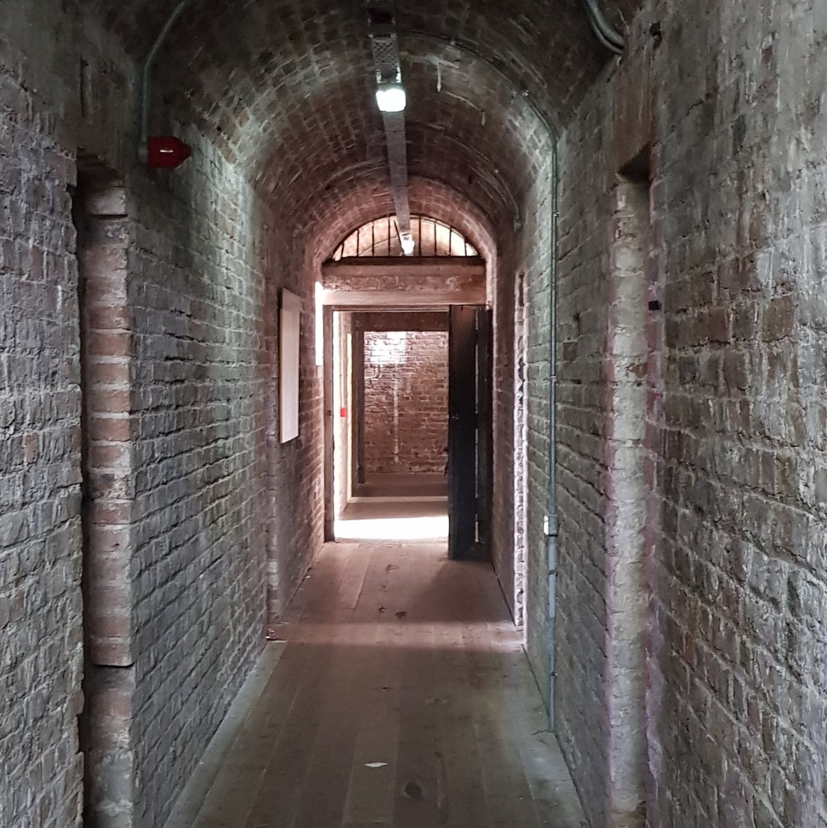 Dr Rachel Murphy tweet media