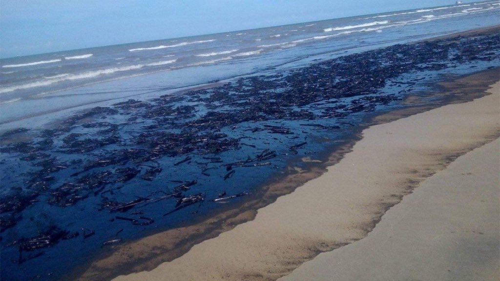 JohanLozada26's tweet photo. Morrocoy antes  /  Morrocoy con 
del socialismo.       socialismo. https://t.co/AFZ53bOG8e