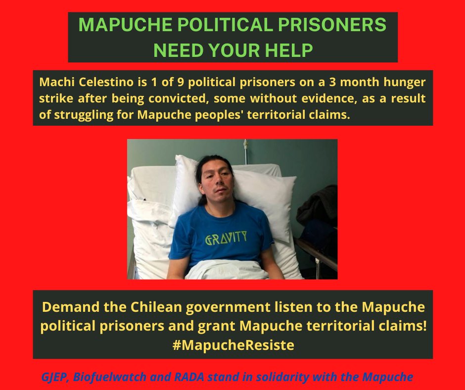 VozSilvestre's tweet photo. Stand in solidarity with #Mapuche political prisoners. Demand govt of #Chile respond to hunger strikers! Tell @sebastianpinera to listen to their demands. #APlantationIsNotAForest #ReturnStolenLands #MapucheResiste https://t.co/80qeMLMaIu