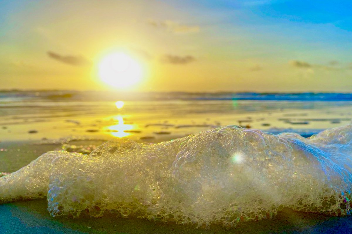 MoveToNSB's tweet photo. 🌊 🌊 🌊 Rise and Shine! Fresh listings for your to 💙 Click the link to find your beach house or condo👇🏻👇🏻
https://t.co/uBU4RpdMWv
#MoveToNSB #BuySellLiveFlorida #NSBHomesForSale #NSBCondosForSale #NewSmyrnaBeach #Florida #FLRealEstate #LoveNSB #REALTOR #CoastalLiving https://t.co/ZGpEE4DplG