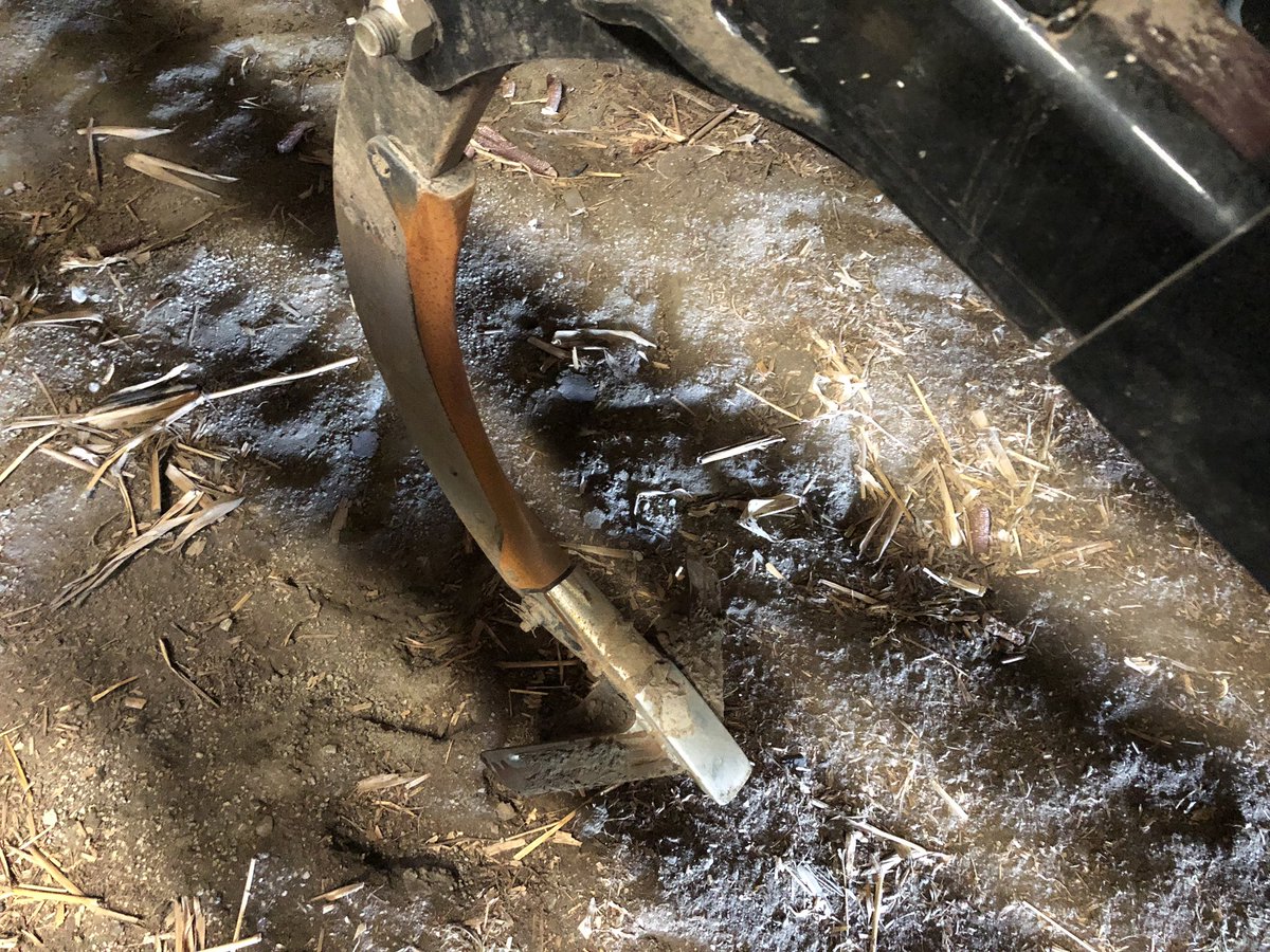 Bryan Arnold tweet media