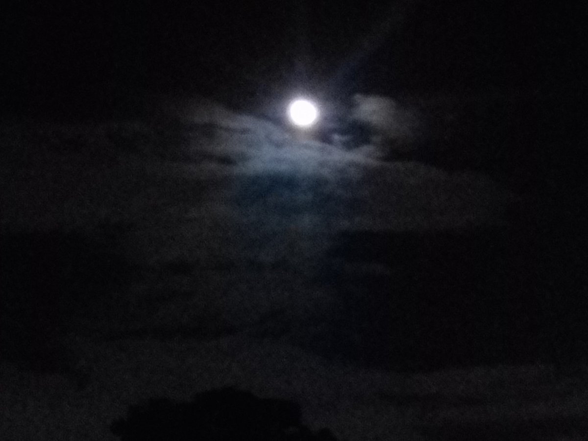 CharliesHomeMx's tweet photo. ¡Jamila Al Kamar! 
En árabe = ¡Hermosa Luna! 
Tomada desde el Roof Garden. (0:13hrs). https://t.co/VOU1dgT3Wq