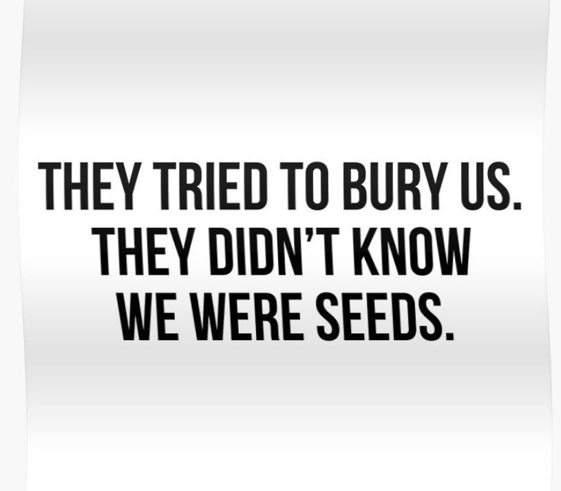 Mike Giannone tweet media