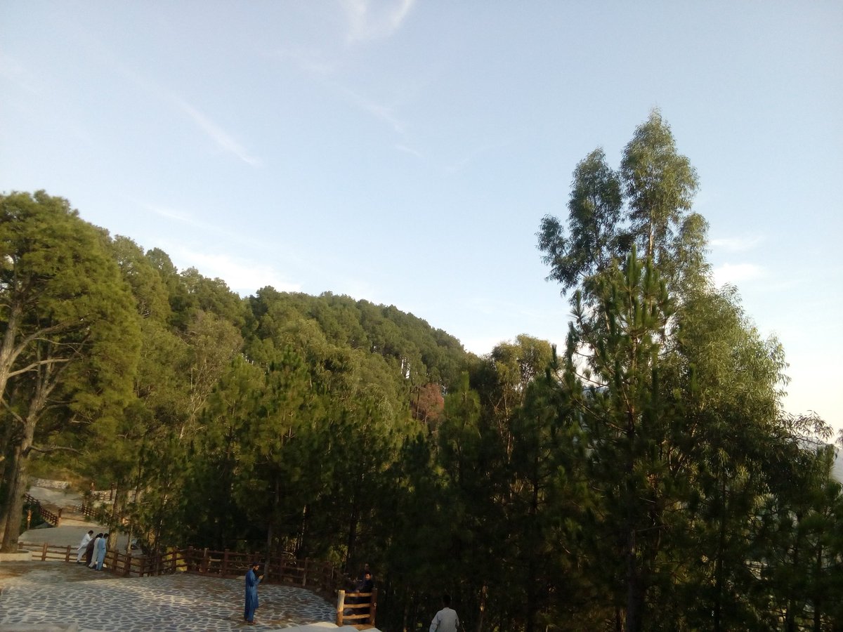 FizzaMalikPTI's tweet photo. شہرِ طلسمات 
#Abbottabad https://t.co/IJWrp8EWJn