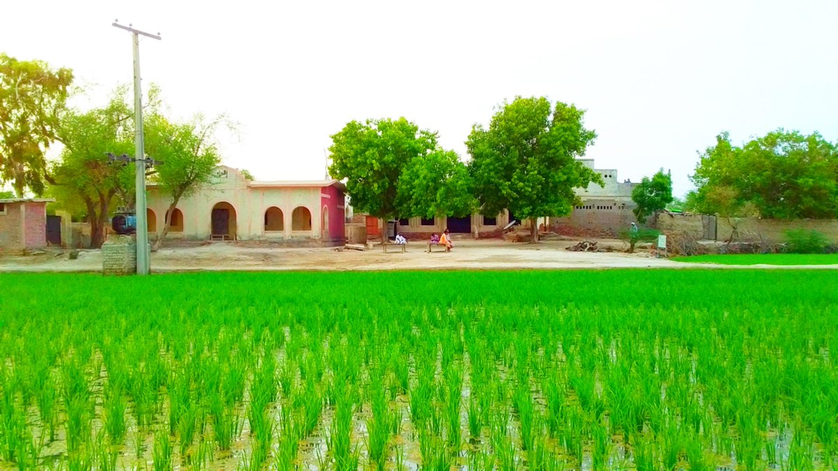 BaagJalbani's tweet photo. سندہ ایک ہے کراچی سندھ ہے
 #SindhIsNotColonyIK https://t.co/jkeGK9nSb7