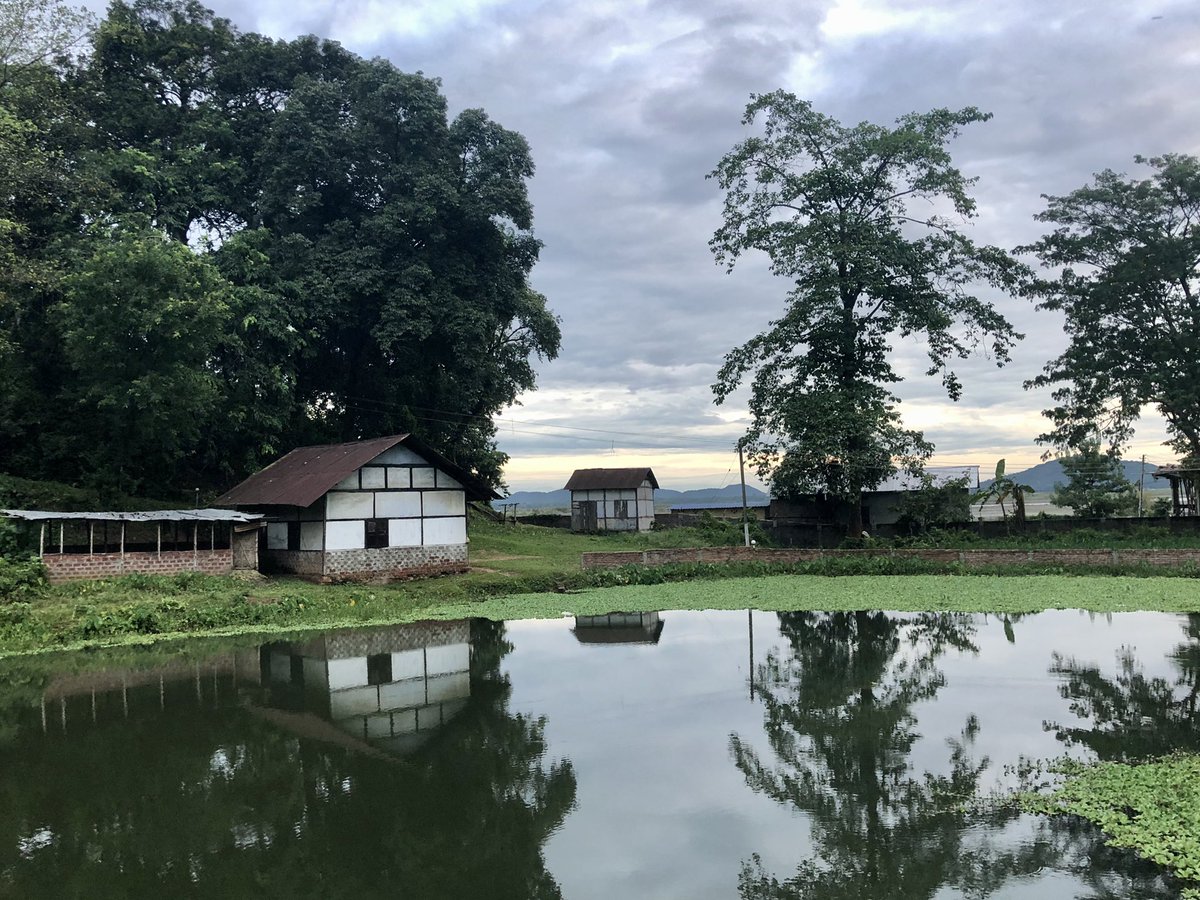 annaverma's tweet image. Some places I click often , in different seasons and timings. Never get tired of clicking the same.  Early morning clicks ...
#sameplace
#differenttime
#AssamTypeHouse
#Guwahati
#EarlyMorningClicks