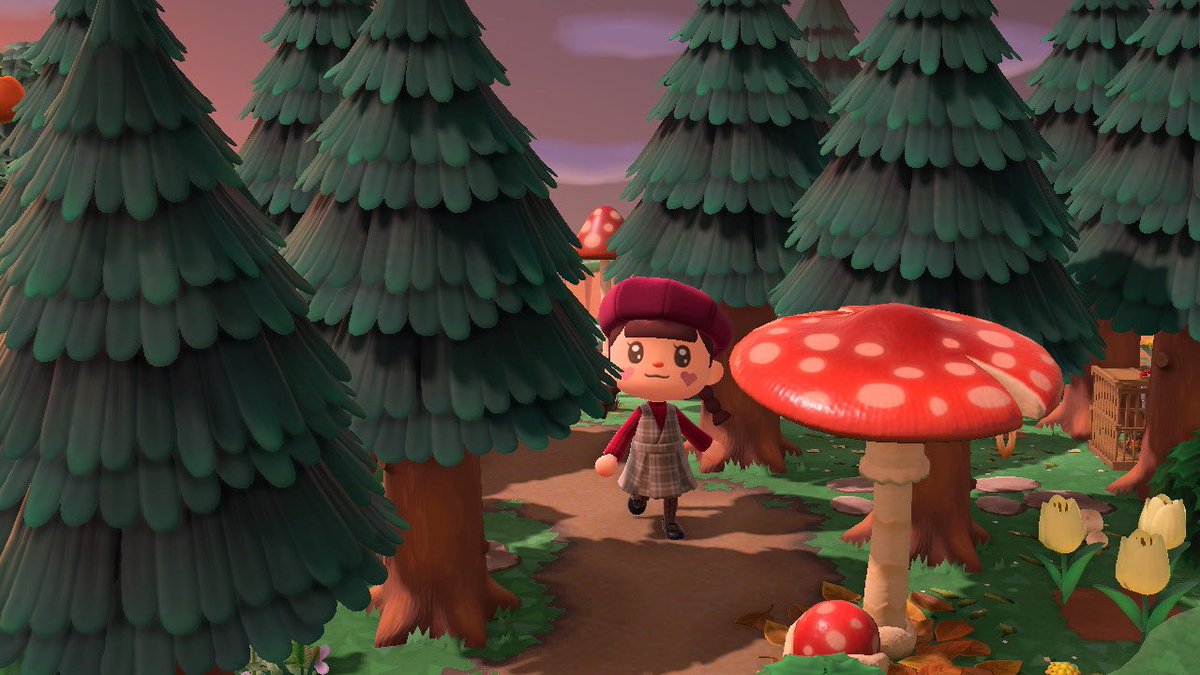 LunaNovaAC's tweet photo. Come explore Luna Nova’s deep forests! 🌿
 #ACNHcottagecore #cottagecoreacnh #AnimalCrossingNewHorizon https://t.co/PyXEtvNMxG