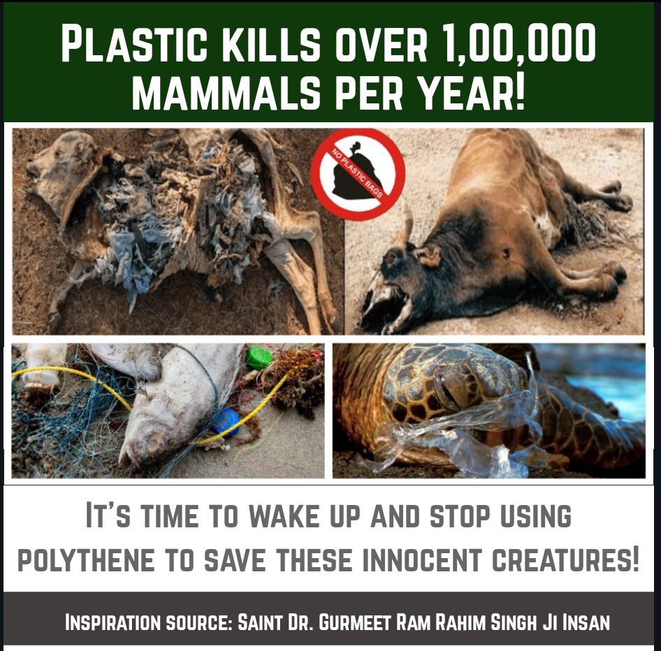 DusuEc's tweet photo. Use of plastic bags is harmful for everyone in many ways. 
Firstly, food that we put in plastic bags, leads to many health ailments. 
Secondly, many stray animals die when they eat these bags. 
All this can be prevented by our efforts. Just #SayNoToPlasticBags and use cloth bags https://t.co/yh4idwapHl