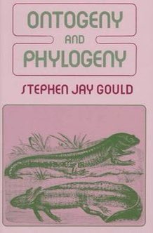 Ontogeny and Phylogeny (Gould)