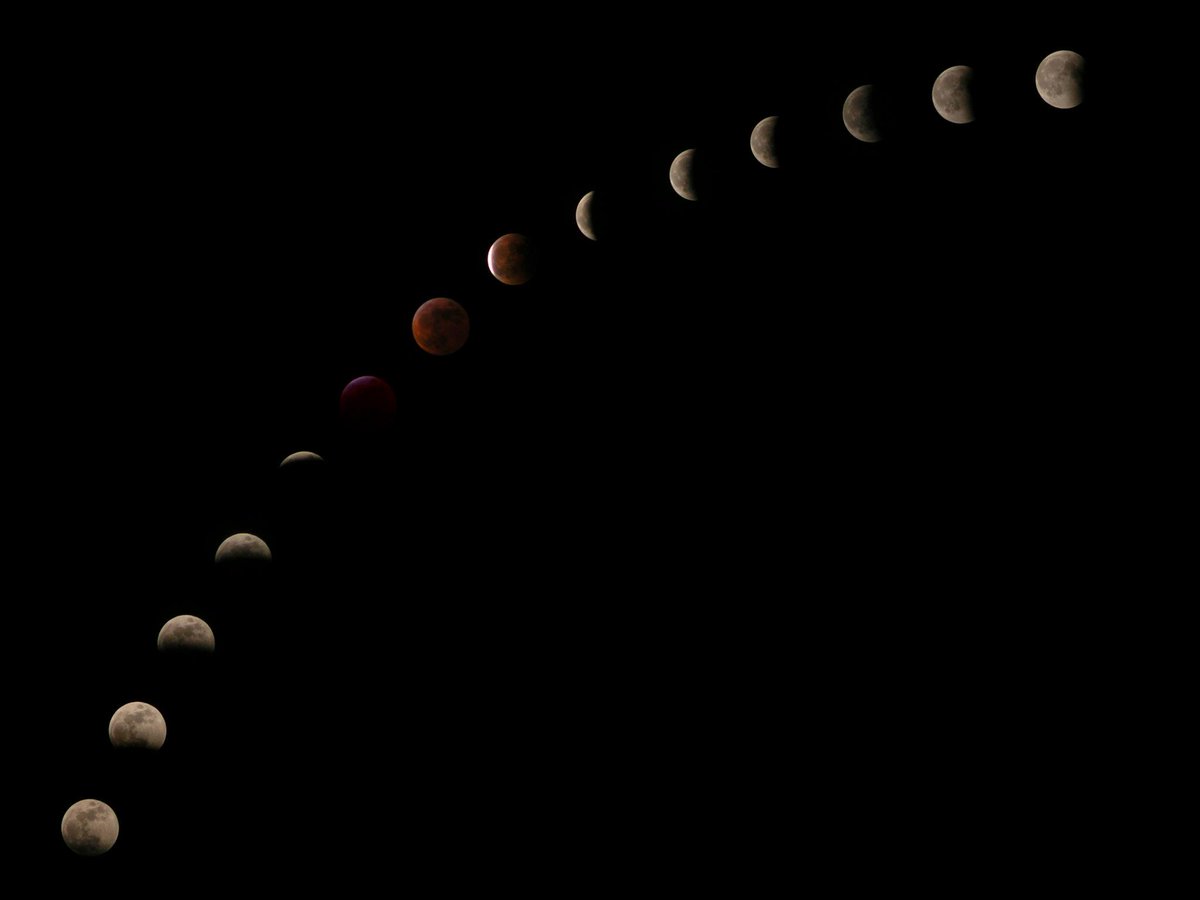 [7/20] ... when I understood the Milankovitch cycles or the Hertzsprung–Russell diagram. In fact, this hobby exposed me to many interesting concepts and allowed me to identify my professional goals. At the age of 16 I knew REALLY well who and what I wanted to become in life.