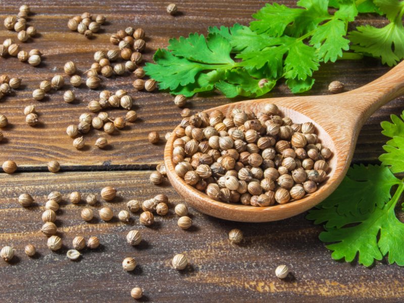 Coriander *luck+lust* Exodus 16:31 “The house of Israel’s names the substance manna. It resembled coriander seed..” As well as Numbers 11:7 “The Manna resembled coriander seed, and it’s appearance was like that of bdellium..”