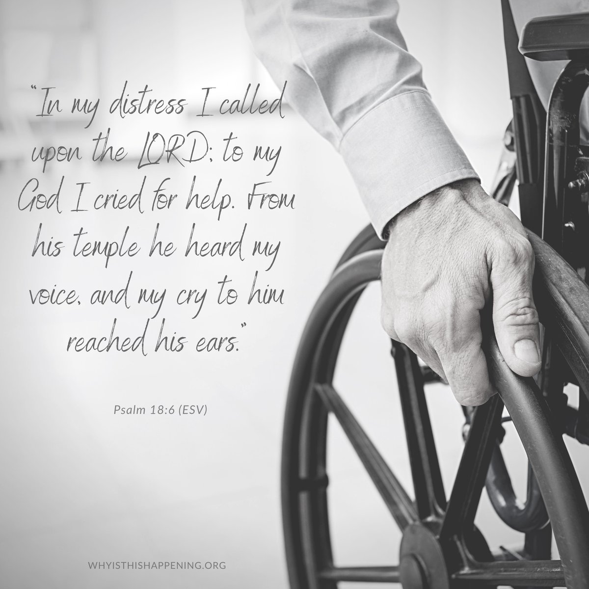 PeopleStoryGod's tweet photo. “In my distress I called upon the LORD; to my God I cried for help. From his temple he heard my voice, and my cry to him reached his ears.” ~ Psalm 18:6 (ESV)
#withGOD #whyisthishappening #callonHISname
https://t.co/1OQY8FAgiY https://t.co/HA1eIjZduq