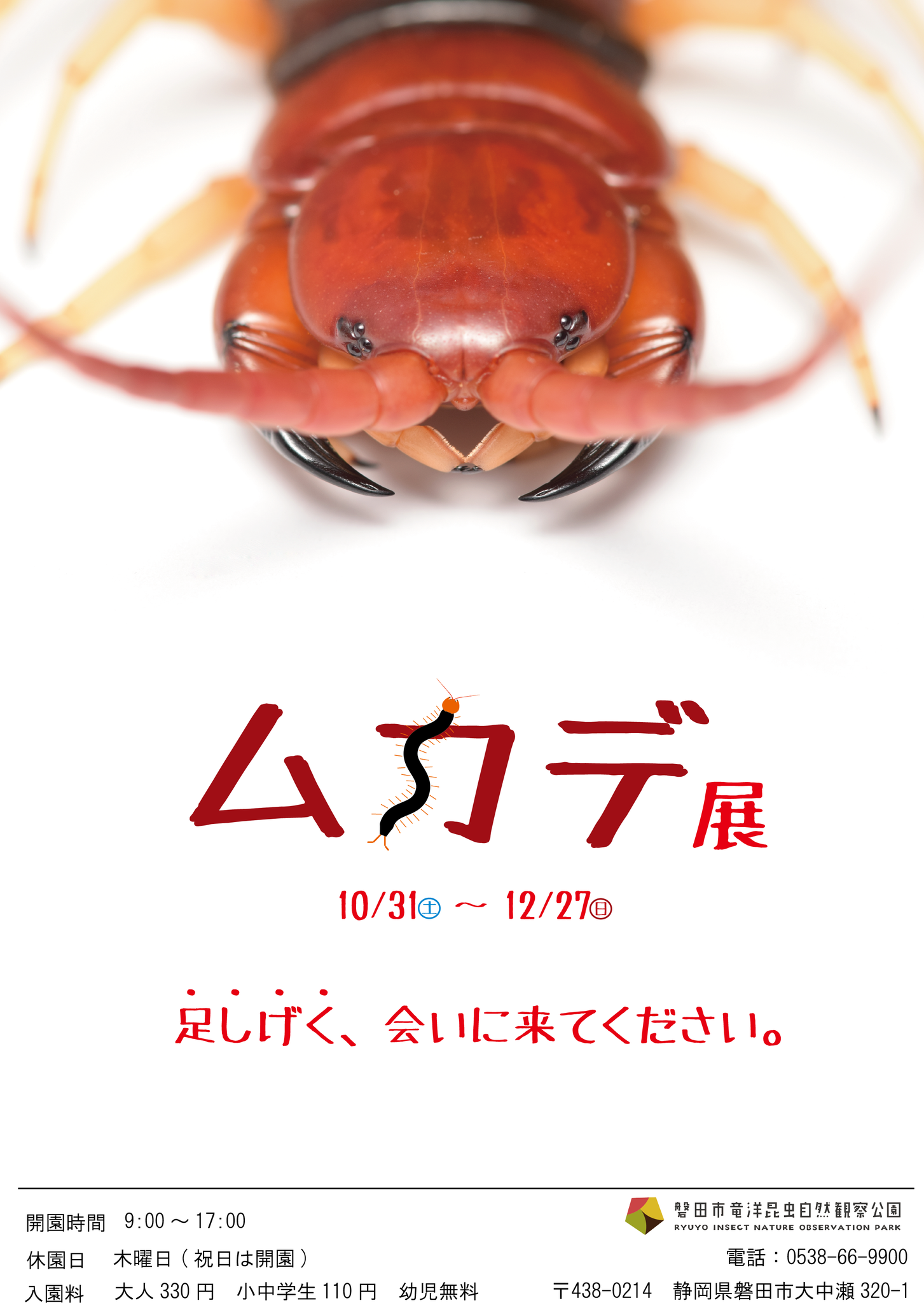 竜洋昆虫自然観察公園 公式 10月31日よりムカデ展開催 少し早いですがポスターを作成いたしました ゴキブリ展に続いてニッチな企画展です なかなか見ることのできないムカデたちが大集合しますのでムカデ好きもちょっと見直してみようかな という