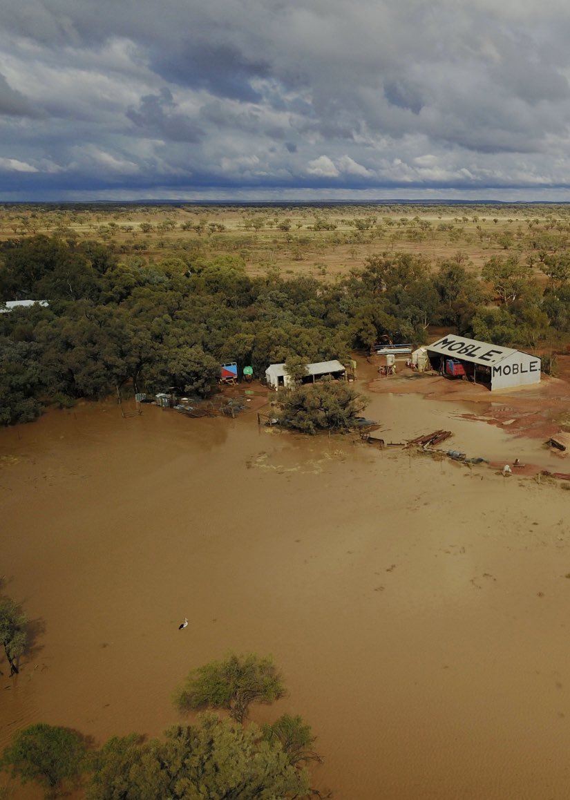 Meg Rutledge tweet media