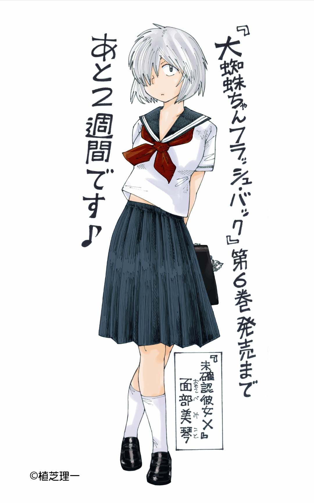 2025年最新】大蜘蛛ちゃんフラッシュ・バックの人気アイテム - メルカリ