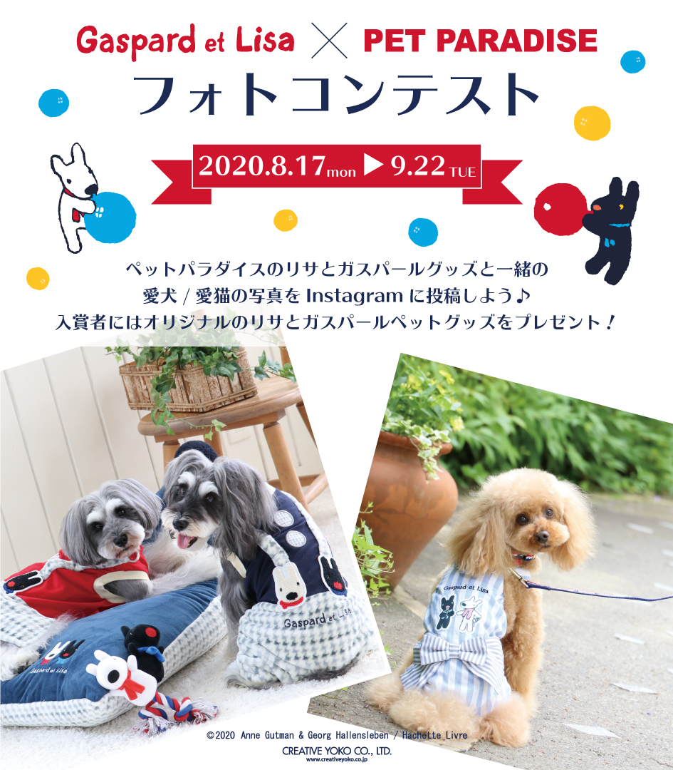 リサとガスパール オフィシャル Twitter પર ペットフォトコンテスト を8 17より開催 リサとガスパールのペットグッズと一緒の ペット写真を指定のハッシュタグでインスタグラムにアップしてください 詳しくはこちら T Co Daxtkx3kka リサと