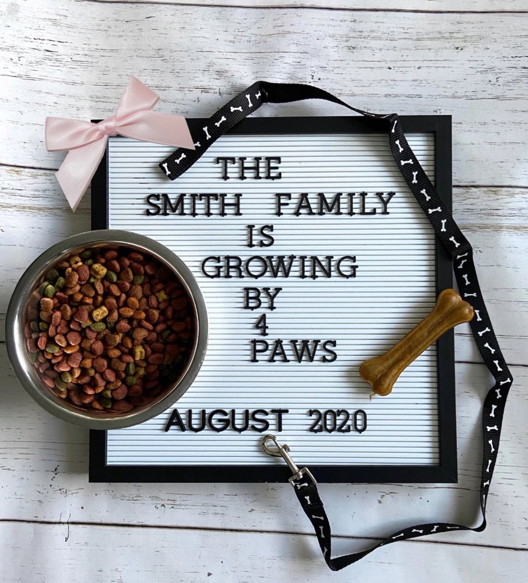 NSmith12208's tweet photo. Everyone, meet “Millie Jae Smith!” She is 8 wks old &amp; named after the girls 99 yr old Great Grandma, Mildred Jercha, whom the girls love more than words can explain. We are over the moon! #adventuresofabulldog #frenchie @BrodnickiSchool @LyleDragons https://t.co/Z4MJ0kyNcv