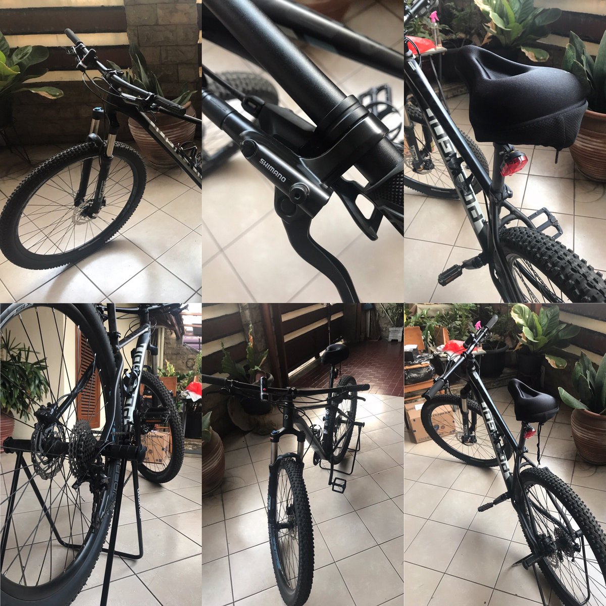 Pasha Arief tweet media