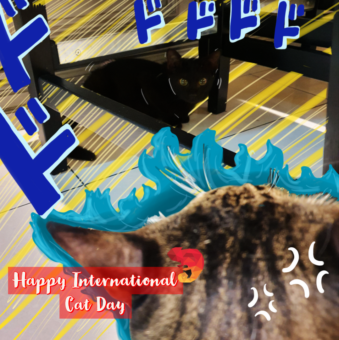 SocialGrooves's tweet photo. Is that a catto reference? 👀

To all our fellow cat lovers out there, have fun pinching peets and booping snoots this #InternationalCatDay 🐱💕

#InsideSocialG #socialgrooves #cats #catsofinstagram #cat #catstagram #catlovers #instacat #of #catoftheday #weekend #caturday https://t.co/YWtaQByVHU