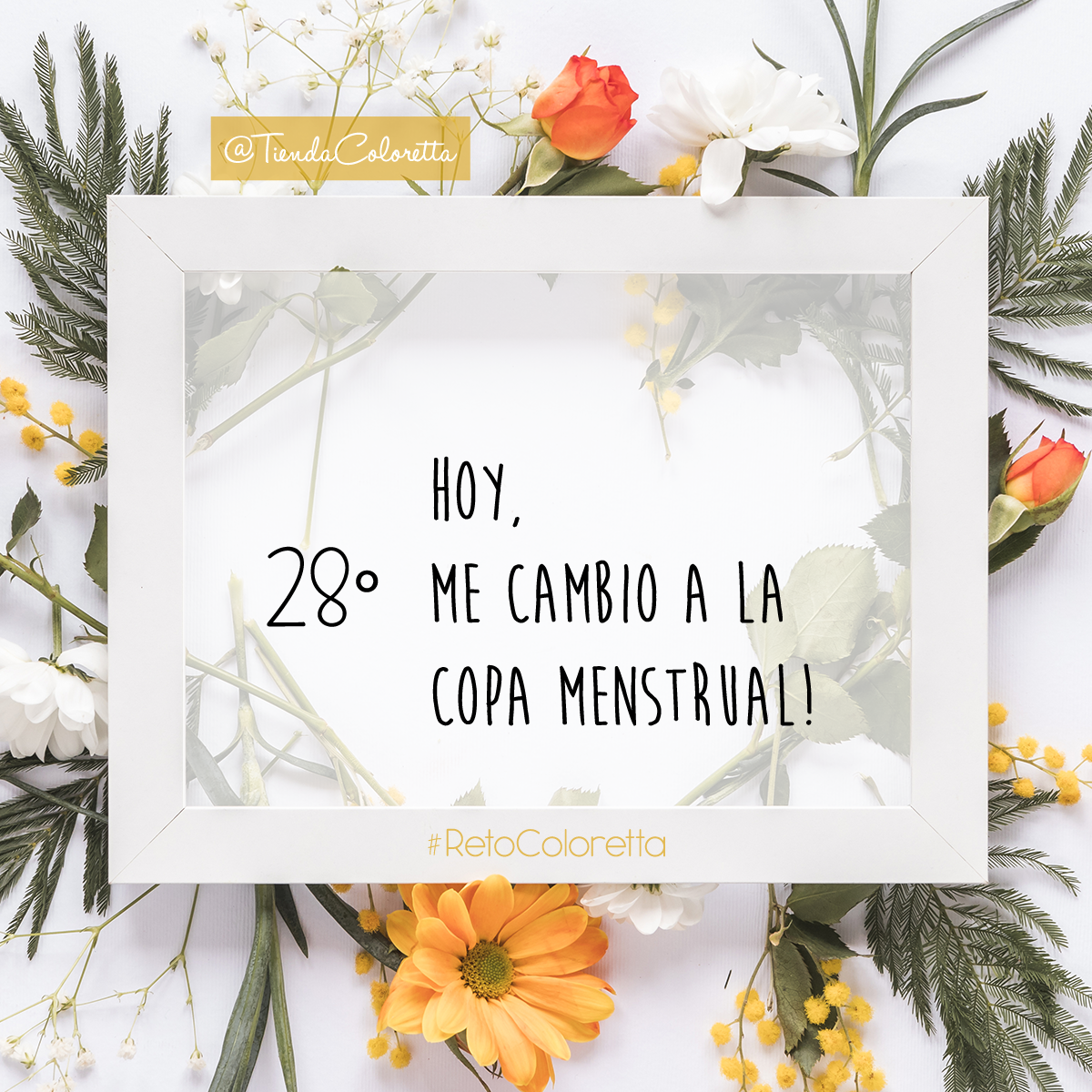 TiendaColoretta's tweet photo. ¡Reemplaza toallas y tampones desechables por una copa segura y ecológica! 💛 Reduce tu huella, cuida tu salud y la del planeta. ¡Únete al #RetoColoretta! https://t.co/my2Asc6fUa
