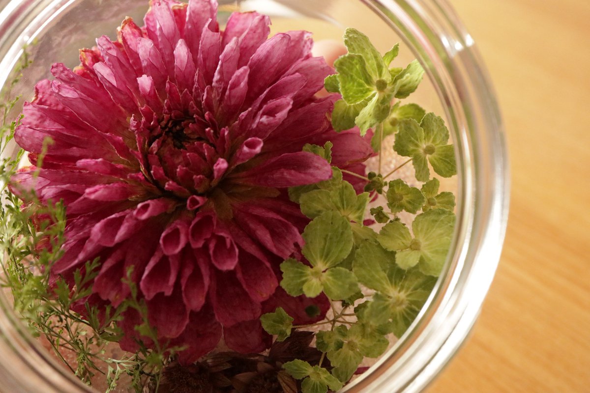 オカブック コロンビア産の紫陽花 エメラルドグリーン ドライにしても 綺麗なグリーンのまま キリトリセカイ ファインダー越しの私の世界 写真で伝えたい私の世界 Photography Coregraghy Okaphoto コロンビア産 エメラルドグリーン 紫陽花