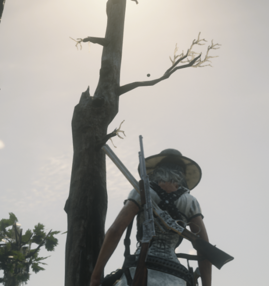 SorchiaisStoned's tweet image. Usually the eggs don't fly until AFTER they hatch. Just throwing that out there @RockstarGames #patchthatshit