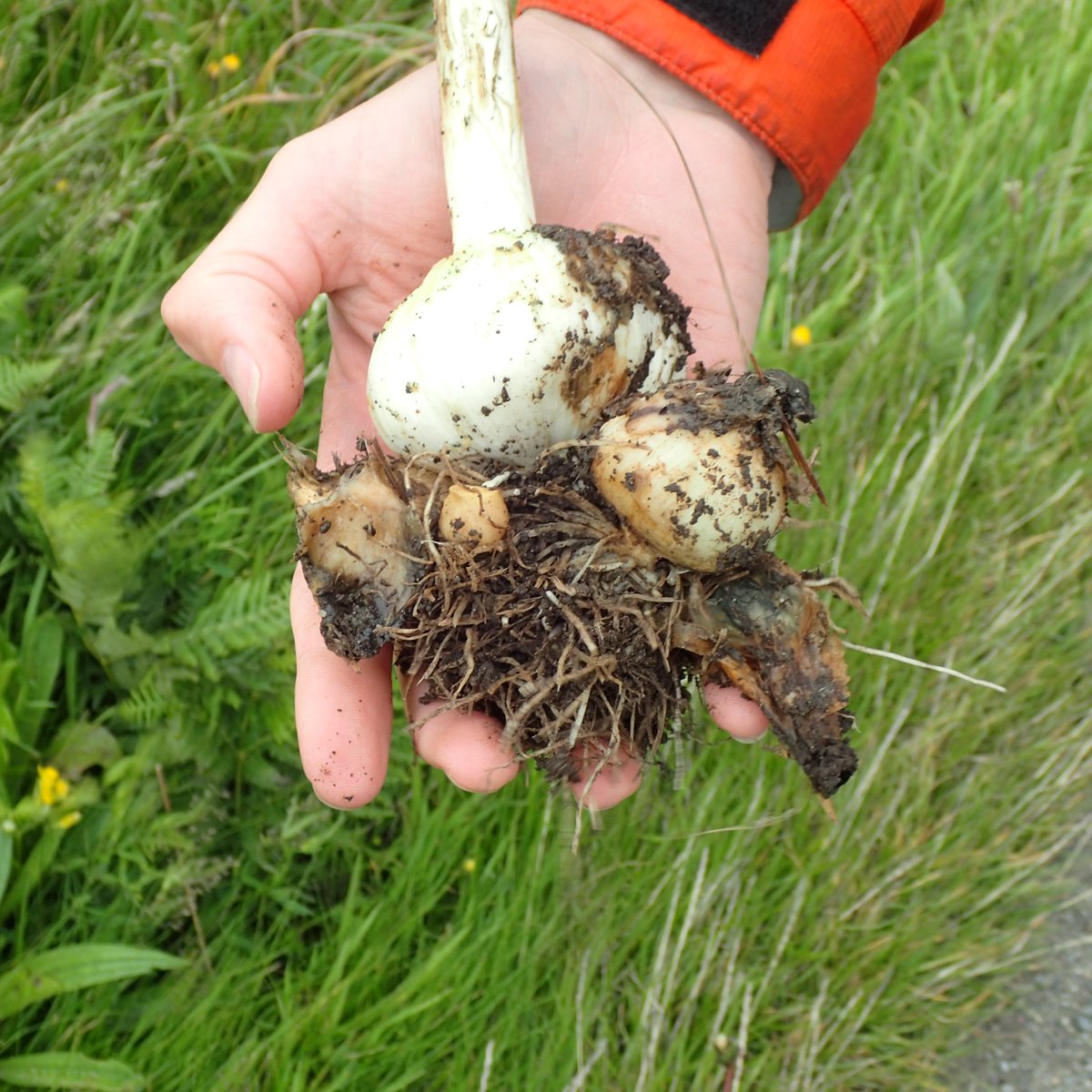 Robbie Blackhall-Miles tweet media