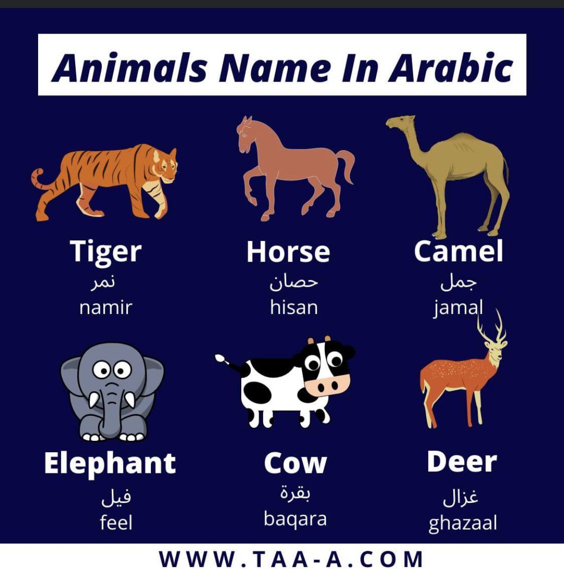 Learn Arabic-TAA-A on Twitter: Learn Arabic-TAA-A on Twitter: