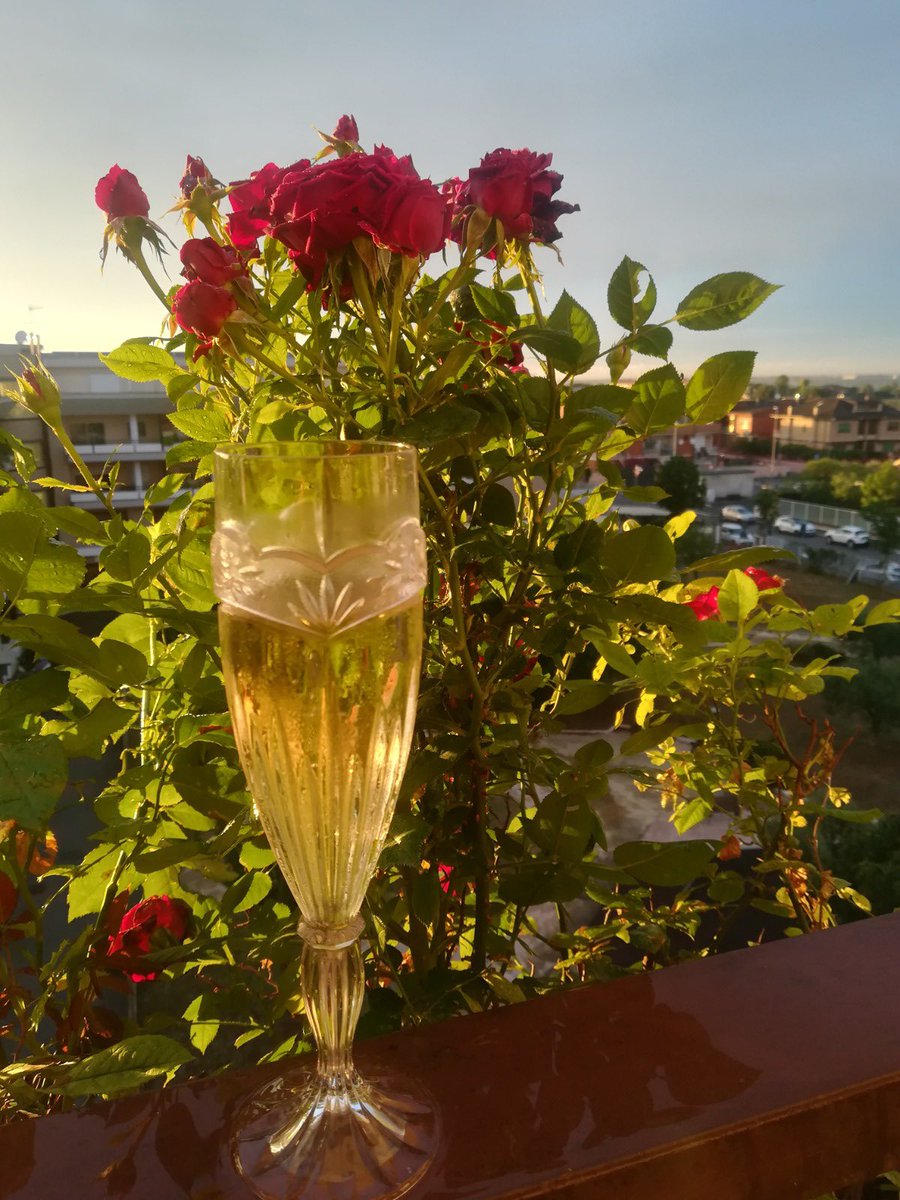 È il momento di pensare alla prossima #vendemmia anche se presto per previsioni. Il settore ha diverse incognite da affrontare, ma ad oggi il quadro non è così grave come sostengono alcuni e le giacenze sono in linea con l’anno scorso. #cooperativeagro #lucarigotti #legacoopN