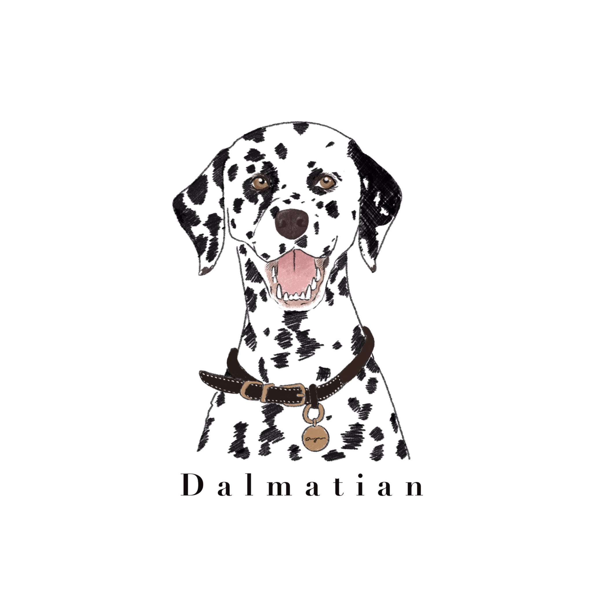 Ayumi イラスト インスタで好評だった ダルメシアンちゃん ダルメシアン っておしゃれ 犬好きな人と繋がりたい イラスト 動物イラスト 犬イラスト イイネくれたらめっちゃ喜ぶ Ayumi イラスト インスタで好評だった ダルメシアンちゃん ダルメシアン っておしゃれ 犬好きな人と繋がりたい イラスト 動物イラスト 犬イラスト イイネくれたらめっちゃ喜ぶ
